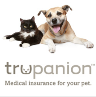 A happy dog and cat playing together with two Trupanion pet insurance cards visible in the foreground.