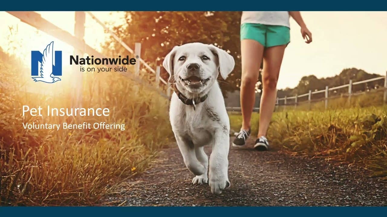 Nationwide Pet Insurance Overview & Pricing